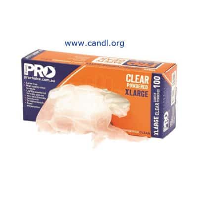 Disposable Vinyl Powdered Gloves - ProChoice® Safety Gear