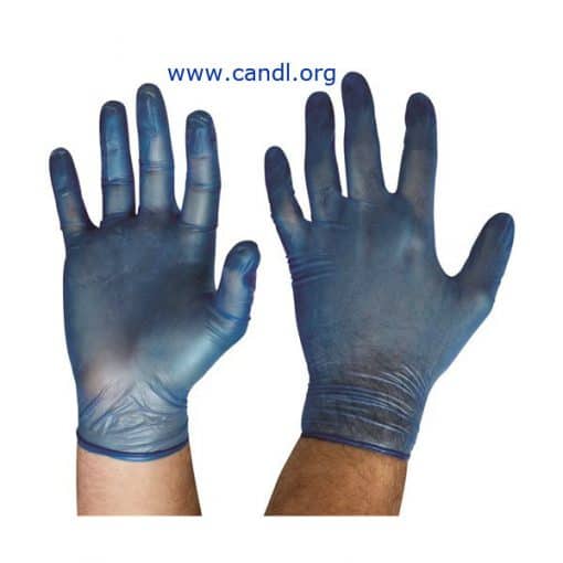 Disposable Vinyl Powdered Gloves - ProChoice® Safety Gear