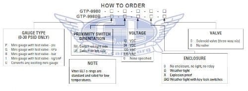 Mini Gammon Gauge Control Systems - GTP-9980